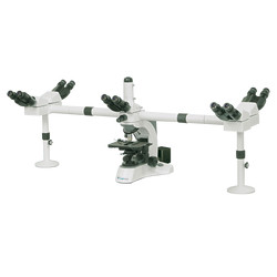 Multi-Viewing Microscope : Multi-Viewing Biological Microscope LMB-B10 Multi-Viewing Microscope : Multi-Viewing Biological Microscope LMB-B10